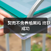 从电脑商到黑鸡养殖专家,他用新道路撬动亿元产业-绿源新宇生物 从电脑商到黑鸡养殖专家,他用新道路撬动亿元产业-绿源新宇生物