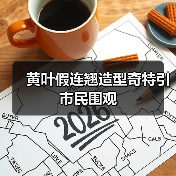 黄叶假连翘造型奇特引市民围观(图3) 黄叶假连翘造型奇特引市民围观(图3)
