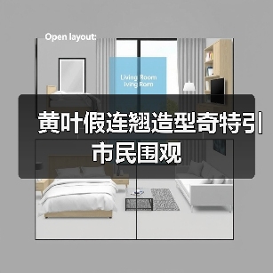 黄叶假连翘造型奇特引市民围观(图2) 黄叶假连翘造型奇特引市民围观(图2)