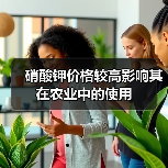 硝酸钾价格较高影响其在农业中的使用（图4）