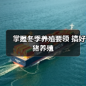 掌握冬季养殖要领 搞好猪养殖(图2) 掌握冬季养殖要领 搞好猪养殖(图2)