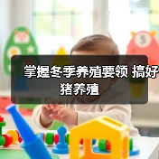 冬季养猪保暖要点:舍内温度与饲料管理技巧-绿源新宇生物有机肥 冬季养猪保暖要点:舍内温度与饲料管理技巧-绿源新宇生物有机肥