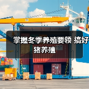 掌握冬季养殖要领 搞好猪养殖(图3) 掌握冬季养殖要领 搞好猪养殖(图3)