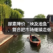 尿素降价“殃及池鱼”，复合肥市场继续走低（图3）