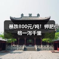 暴跌800元/吨!钾肥价格一泻千里(图4) 暴跌800元/吨!钾肥价格一泻千里(图4)