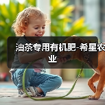 油茶专用有机肥-希星农业（图3）