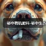 鄂中有机肥料-鄂中生态(图4) 鄂中有机肥料-鄂中生态(图4)