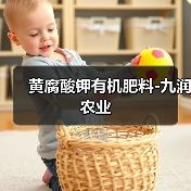 黄腐酸钾有机肥料-九润农业(图1) 黄腐酸钾有机肥料-九润农业(图1)