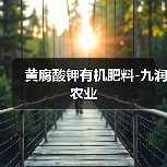 黄腐酸钾有机肥料-九润农业(图2) 黄腐酸钾有机肥料-九润农业(图2)