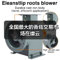 缟川交易市场成全国香菇价格标杆，供需关系助推行情上涨-绿源新