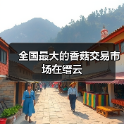 全国最大的香菇交易市场在缙云(图2) 全国最大的香菇交易市场在缙云(图2)