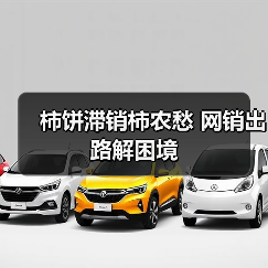 柿饼滞销柿农愁 网销出路解困境(图4) 柿饼滞销柿农愁 网销出路解困境(图4)