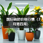 国际磷肥价格行情(3月第四周)(图2) 国际磷肥价格行情(3月第四周)(图2)