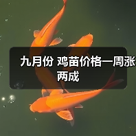 九月份 鸡苗价格一周涨两成(图3) 九月份 鸡苗价格一周涨两成(图3)