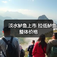 淡水鲈鱼上市 拉低鲈鱼整体价格(图3) 淡水鲈鱼上市 拉低鲈鱼整体价格(图3)