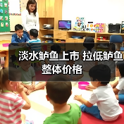台风影响海鲈鱼涨价回调 淡水鲈鱼填补市场空白-绿源新宇生物有