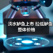 淡水鲈鱼上市 拉低鲈鱼整体价格(图4) 淡水鲈鱼上市 拉低鲈鱼整体价格(图4)