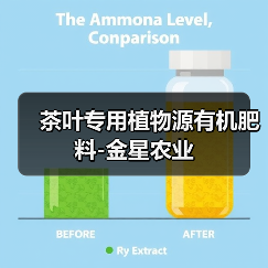 茶叶专用植物源有机肥料-金星农业(图3) 茶叶专用植物源有机肥料-金星农业(图3)