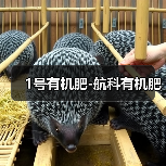 1号有机肥-航科有机肥(图4) 1号有机肥-航科有机肥(图4)