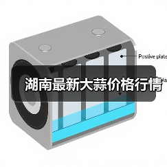 2014年湖南省大蒜市场行情分析-绿源新宇生物有机肥官网