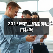 2013年农业硝酸钾进出口状况(图1) 2013年农业硝酸钾进出口状况(图1)