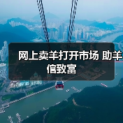网上卖羊打开市场 助羊倌致富(图2) 网上卖羊打开市场 助羊倌致富(图2)