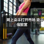 网上卖羊打开市场 助羊倌致富(图4) 网上卖羊打开市场 助羊倌致富(图4)