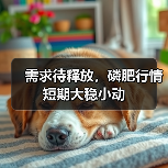 需求待释放，磷肥行情短期大稳小动（图1）