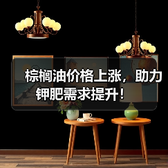 棕榈油价格上涨,助力钾肥需求提升!(图3) 棕榈油价格上涨,助力钾肥需求提升!(图3)