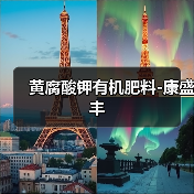 黄腐酸钾有机肥料-康盛丰(图3) 黄腐酸钾有机肥料-康盛丰(图3)