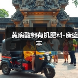 黄腐酸钾有机肥料-康盛丰(图1) 黄腐酸钾有机肥料-康盛丰(图1)