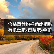 含枯草芽孢杆菌腐植酸有机碳肥-育苗肥-金正生物（图2）