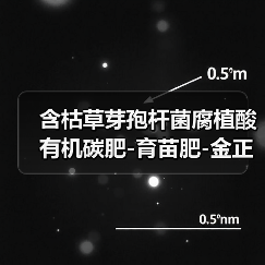 含枯草芽孢杆菌腐植酸有机碳肥-育苗肥-金正生物（图3）