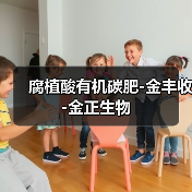 腐植酸有机碳肥-金丰收-金正生物(图4) 腐植酸有机碳肥-金丰收-金正生物(图4)