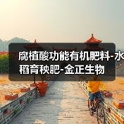 腐植酸功能有机肥料-水稻育秧肥-金正生物(图4) 腐植酸功能有机肥料-水稻育秧肥-金正生物(图4)
