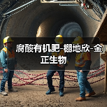 腐酸有机肥-棚地欣-金正生物(图3) 腐酸有机肥-棚地欣-金正生物(图3)