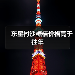 东星村沙糖桔价格高于往年(图3) 东星村沙糖桔价格高于往年(图3)