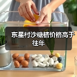 东星村沙糖桔价格高于往年(图2) 东星村沙糖桔价格高于往年(图2)