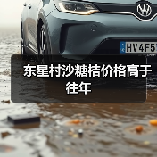 东星村沙糖桔价格高于往年(图1) 东星村沙糖桔价格高于往年(图1)