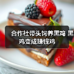 合作社带头饲养黑鸡 黑鸡变成赚钱鸡(图3) 合作社带头饲养黑鸡 黑鸡变成赚钱鸡(图3)