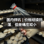国内钾讯 | 价格继续回落，但是幅度减小（图4）
