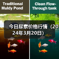 今日尿素价格行情(2024年3月20日)(图1) 今日尿素价格行情(2024年3月20日)(图1)