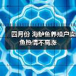 四月份 海鲈鱼养殖户卖鱼热情不高涨(图3) 四月份 海鲈鱼养殖户卖鱼热情不高涨(图3)