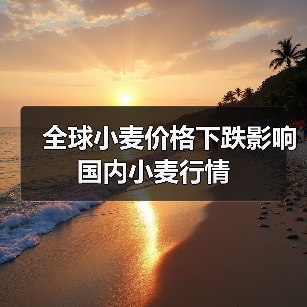 全球小麦价格下跌影响国内小麦行情(图4) 全球小麦价格下跌影响国内小麦行情(图4)