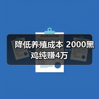降低养殖成本 2000黑鸡纯赚4万（图3）