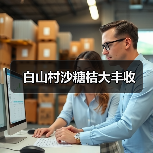 白山村沙糖桔大丰收(图4) 白山村沙糖桔大丰收(图4)