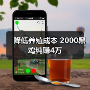 降低养殖成本 2000黑鸡纯赚4万（图2）