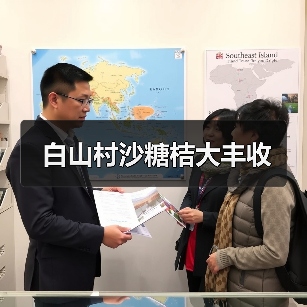 白山村沙糖桔大丰收(图3) 白山村沙糖桔大丰收(图3)