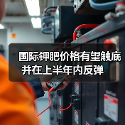 国际钾肥价格有望触底并在上半年内反弹(图2) 国际钾肥价格有望触底并在上半年内反弹(图2)