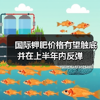 国际钾肥价格有望触底并在上半年内反弹(图1) 国际钾肥价格有望触底并在上半年内反弹(图1)